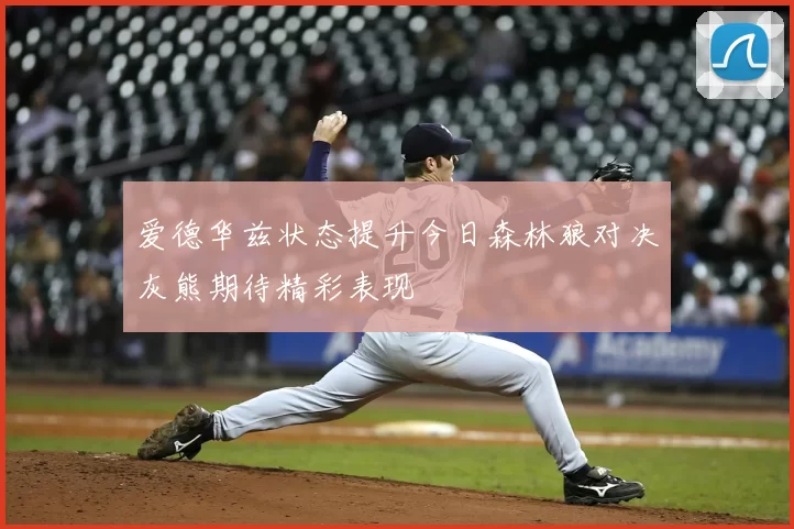 爱德华兹状态提升今日森林狼对决灰熊期待精彩表现