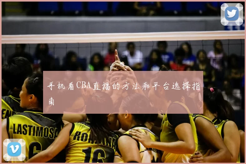 手机看CBA直播的方法和平台选择指南