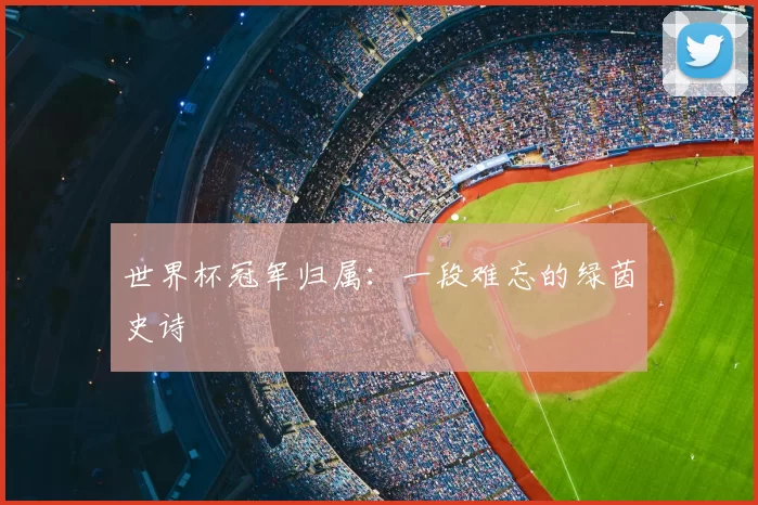 世界杯冠军归属：一段难忘的绿茵史诗