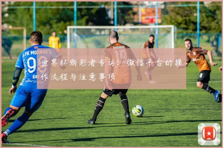 世界杯购彩者专访：微信平台的操作流程与注意事项