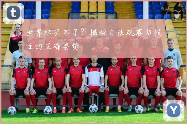 世界杯买不了？揭秘合法观赛与投注的正确姿势