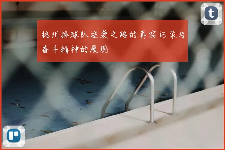 杭州排球队逆袭之路的真实记录与奋斗精神的展现