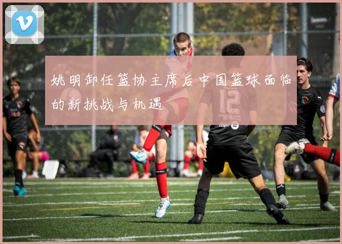 姚明卸任篮协主席后中国篮球面临的新挑战与机遇