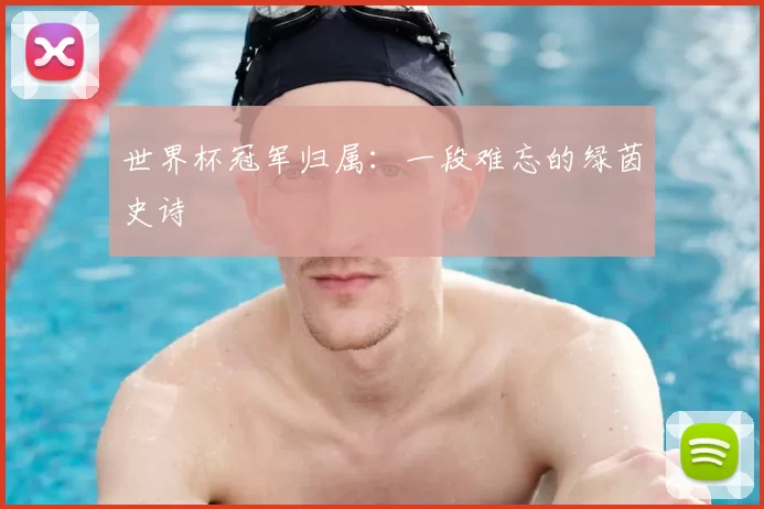 世界杯冠军归属：一段难忘的绿茵史诗