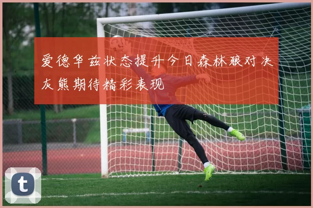 爱德华兹状态提升今日森林狼对决灰熊期待精彩表现