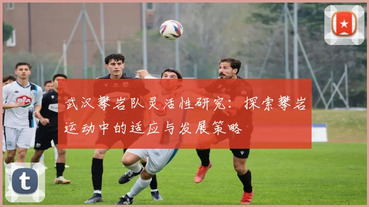 武汉攀岩队灵活性研究：探索攀岩运动中的适应与发展策略