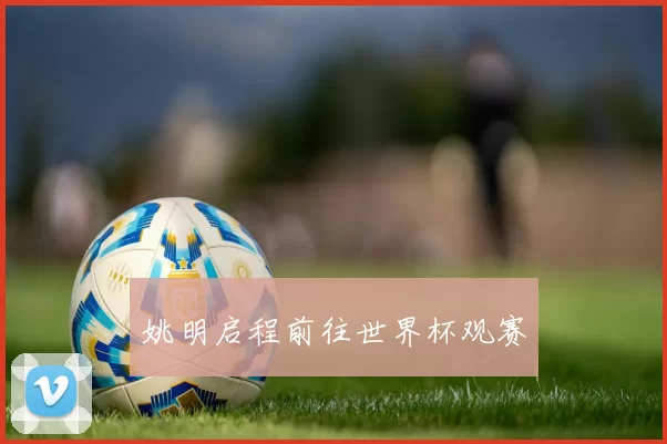 姚明启程前往世界杯观赛