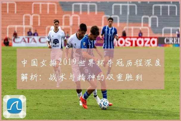 中国女排2019世界杯夺冠历程深度解析：战术与精神的双重胜利