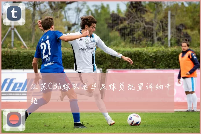 江苏CBA球队名单及球员配置详细介绍