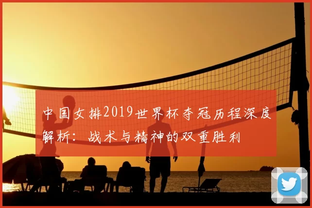 中国女排2019世界杯夺冠历程深度解析：战术与精神的双重胜利