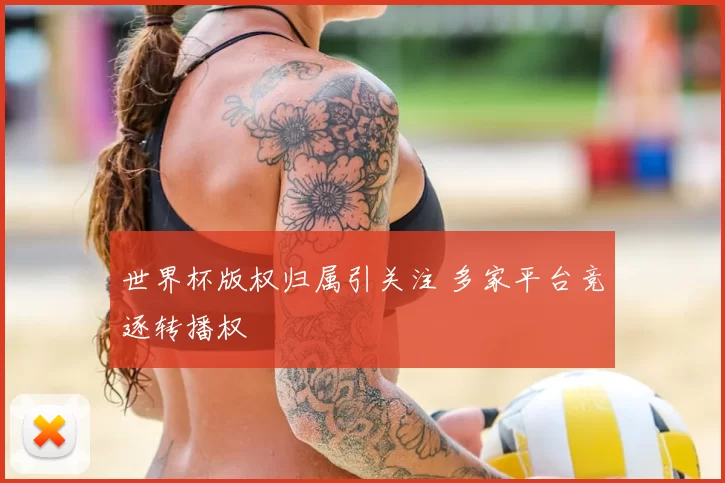 世界杯版权归属引关注 多家平台竞逐转播权