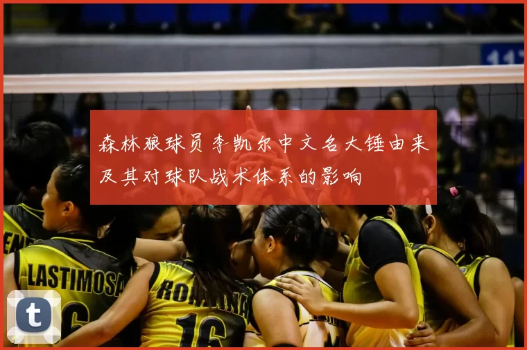 森林狼球员李凯尔中文名大锤由来及其对球队战术体系的影响