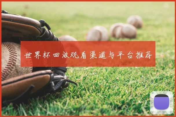 世界杯回放观看渠道与平台推荐