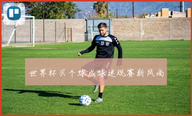 世界杯买个球成球迷观赛新风尚