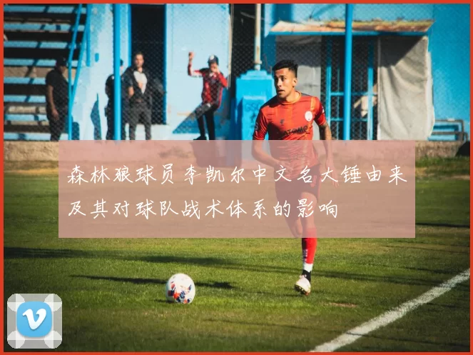 森林狼球员李凯尔中文名大锤由来及其对球队战术体系的影响