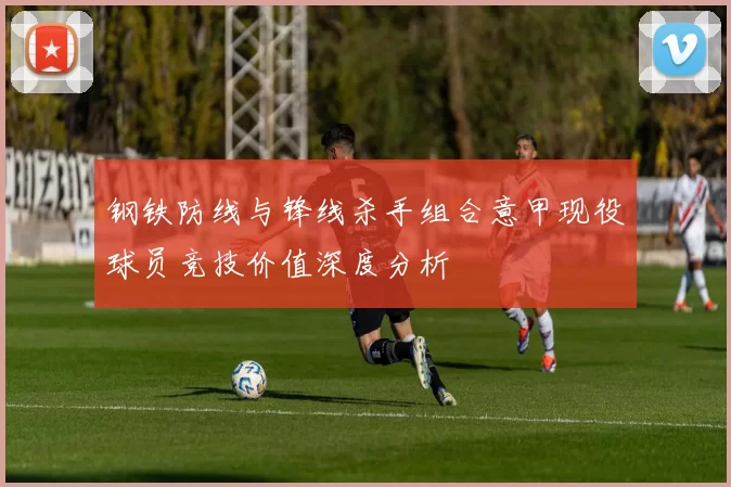 钢铁防线与锋线杀手组合意甲现役球员竞技价值深度分析