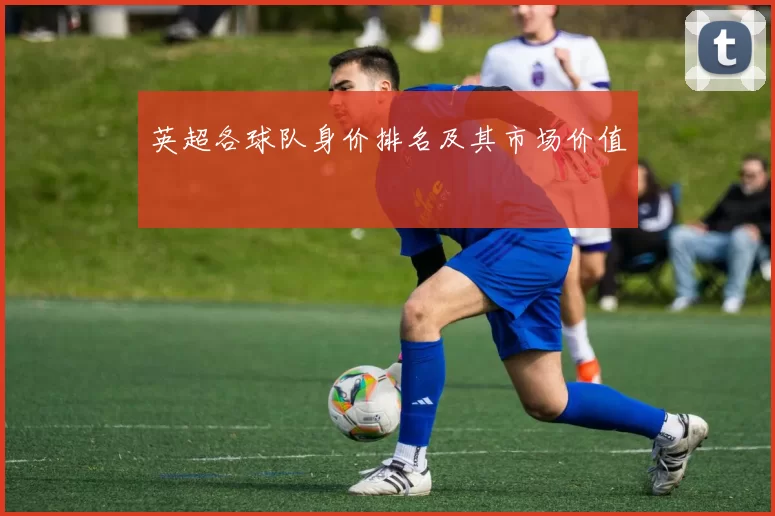 英超各球队身价排名及其市场价值